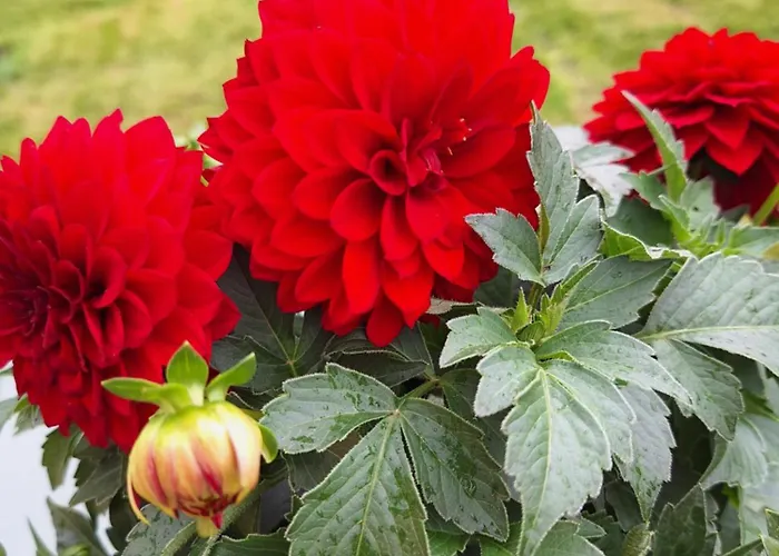 شقة Karner Sankt Peter ob Judenburg